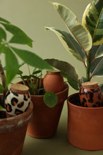 Charger l'image dans la galerie, trio-mini-olla-leopards-pepin