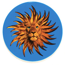 Charger l'image dans la galerie, set-4-dessous-de-verre-solarking-gangzai
