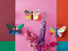 Charger l'image dans la galerie, decoration-murale-papillon-cleo-studio-roof    
