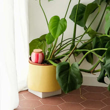 Charger l'image dans la galerie, olla-hydratante-raye-rose-rouge-pepin
