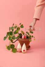 Charger l'image dans la galerie, trio-mini-olla-lovers-pepin
