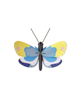 Charger l'image dans la galerie, decoration-murale-yellow-monarch-papillon-studio-roof
