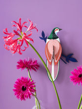 Charger l'image dans la galerie, oiseau-paradis-rani-decoration-murale-studio-roof
