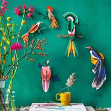 Charger l'image dans la galerie, oiseau-paradis-obi-situation-decoration-murale-studio-roof
